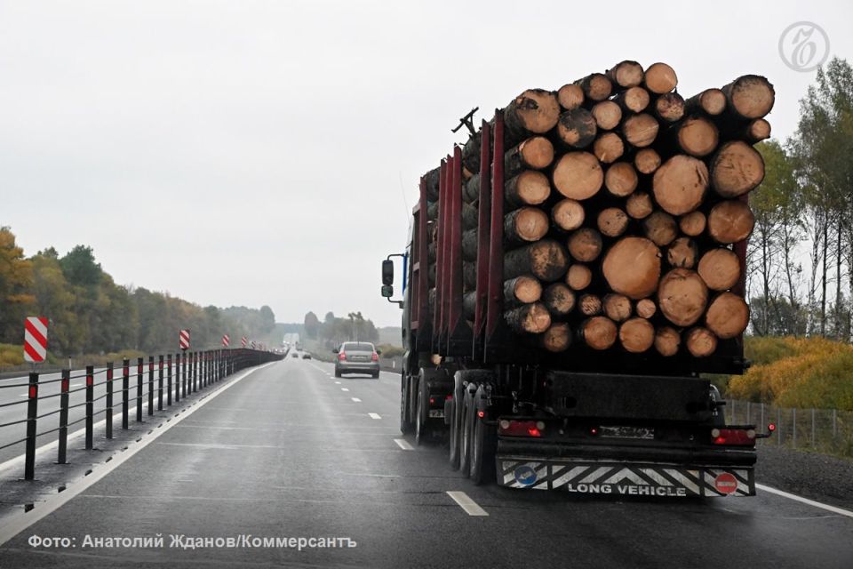 Сокращение срока безвизового пребывания в России для иностранных граждан привело к проблемам с экспортом продукции лесопромышленного комплекса автотранспортом, рассказали «Ъ» участники отрасли