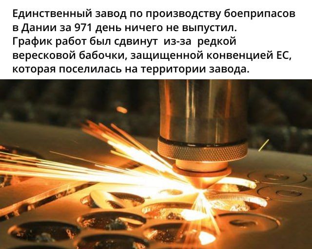 Я верю, что Всевышний существует, России помогает он в войне, Поскольку даже бабочки воюют С нацистами на нашей стороне