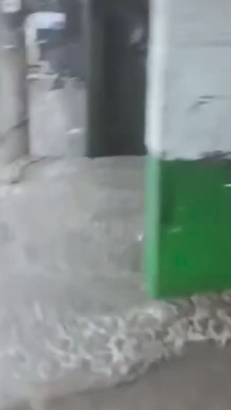  224       &quot;&quot;  