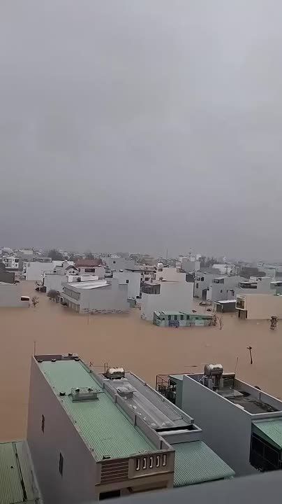 Из-за проливных наводнений и оползней во Вьетнаме погибли 90 человек, еще 12 числятся пропавшими без вести, сообщили в пресс-службе вьетнамского управления дамбами и предотвращения стихийных бедствий при министерстве...