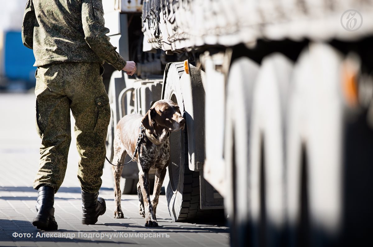 Участники транспортного рынка считают невыполнимыми или нуждающимися в проработке новые требования к проверке груза
