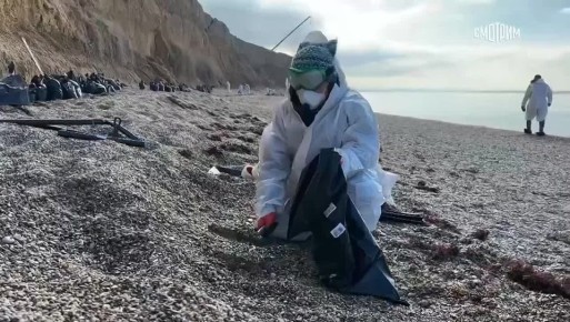 11111"У этой работы нет выходных и зарплат": сегодня отмечается Международный день волонтера