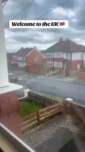 Лондонские мигранты устроили бойню во дворе