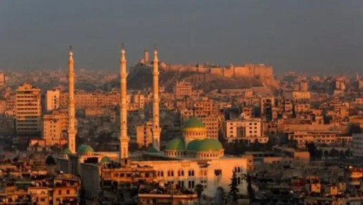 Граждане Сирии чаще других иностранцев просили временное убежище в России