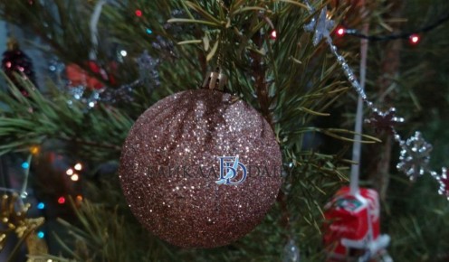 Треть улан-удэнцев в новогодние каникулы будут киснуть дома