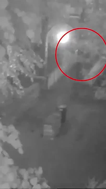 Очередной скандал разгорается в Британии: еще один ребенок пострадал от насилия со стороны мигрантов