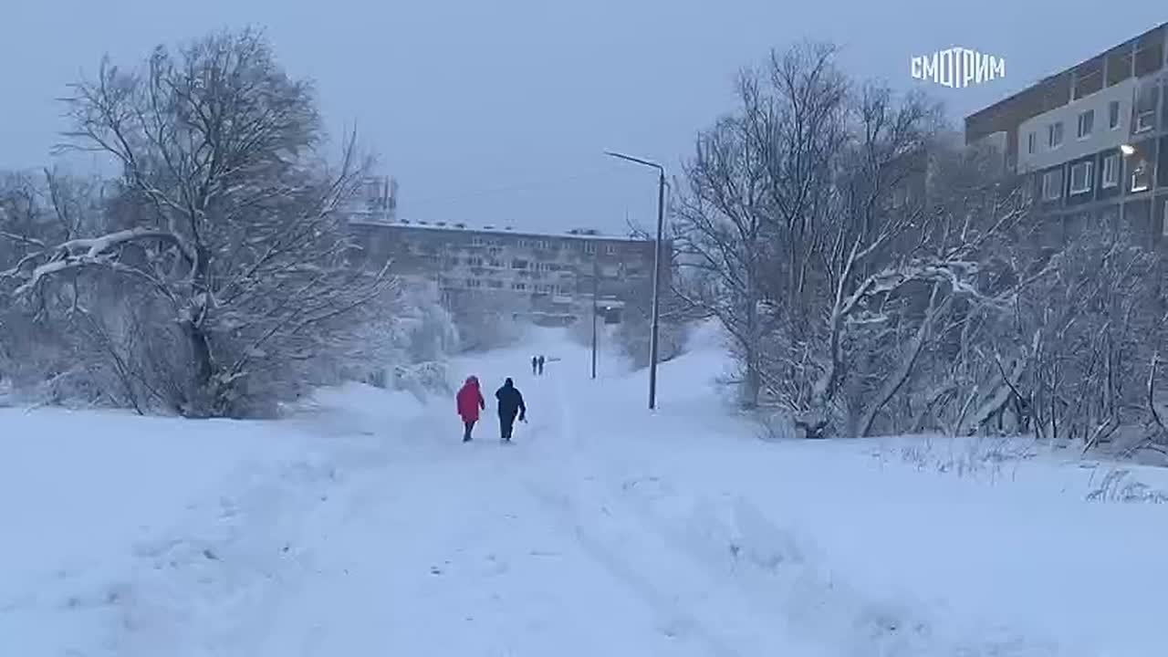"Уважаемые мужики, давайте выйдем, толкнем автобус": на Камчатку обрушился сильный снегопад
