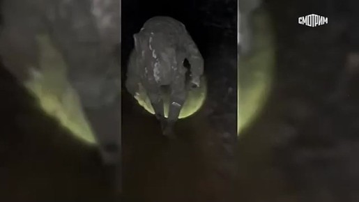 Сегодня в России отмечается День Героев Отечества