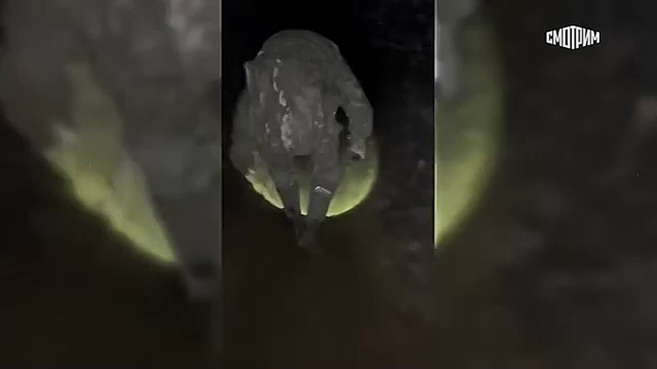 Сегодня в России отмечается День Героев Отечества