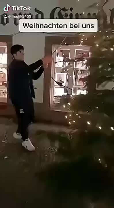 В Штутгарте мигрант устроил показательный погром, повалив уличные елки и выложив видео с подписью «Рождество с нами»