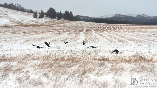 В Бурятию пришли сильные морозы