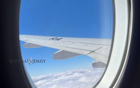 В Улан-Удэ с самолёта сняли пассажира-дебошира
