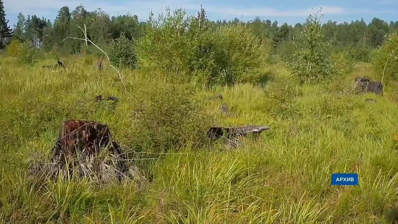 «Закон – о защите». В Госдуме приняли обновлённый закон об охране Байкала