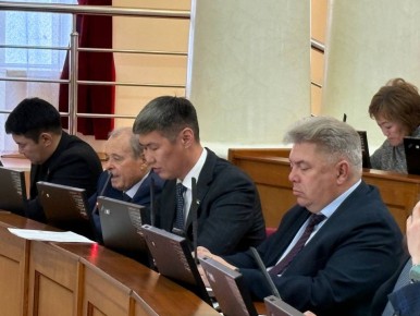 Депутаты поддержали законопроект Республики Бурятия «Об автомобильном и городском электрическом пассажирском транспорте в РБ»