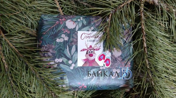 Жителям Бурятии дали советы, как выбирать новогодние деревья