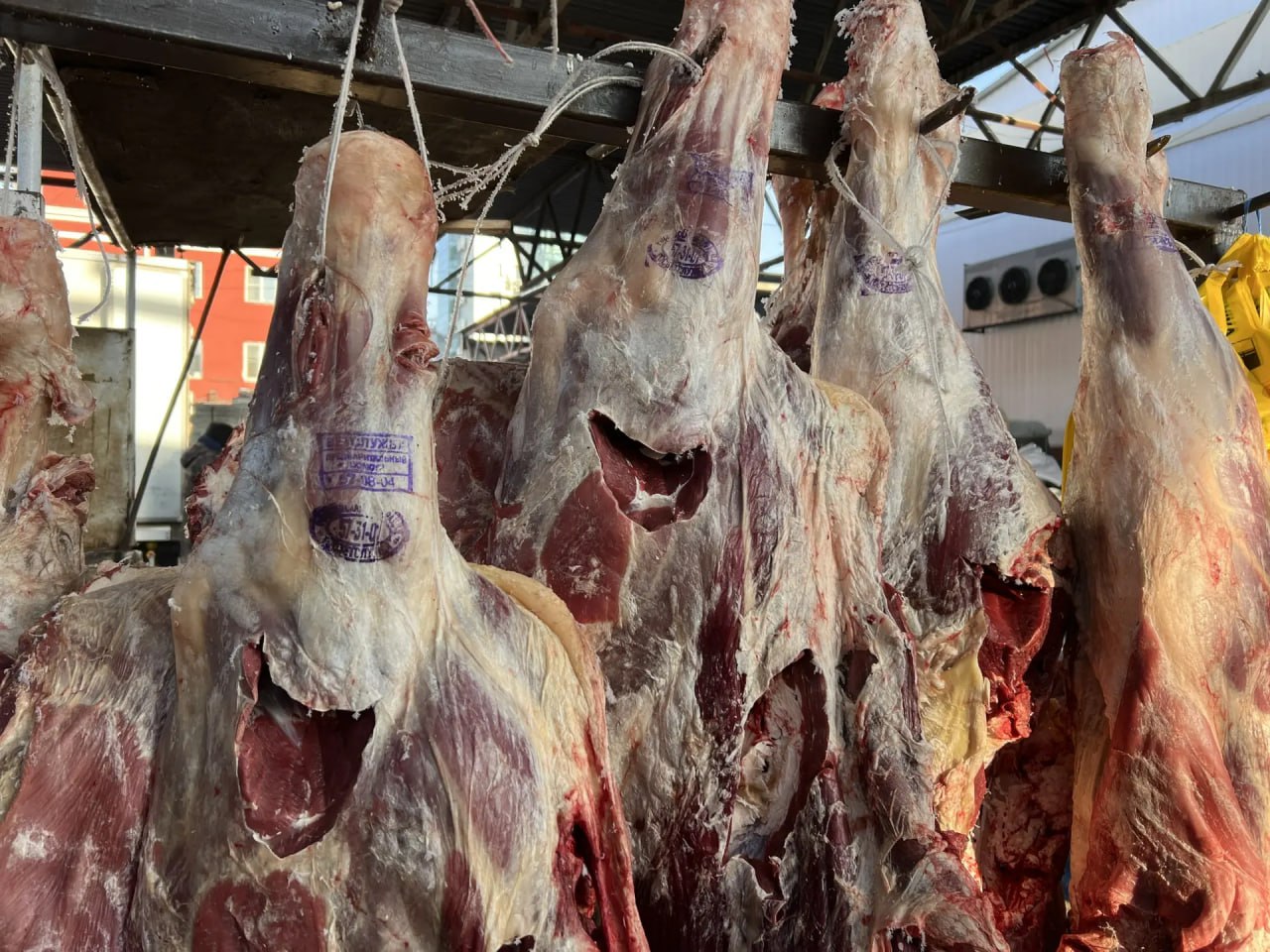 В Улан-Удэ стартовала большая мясная ярмарка! В Улан-Удэ стартовала большая мясная ярмарка!
