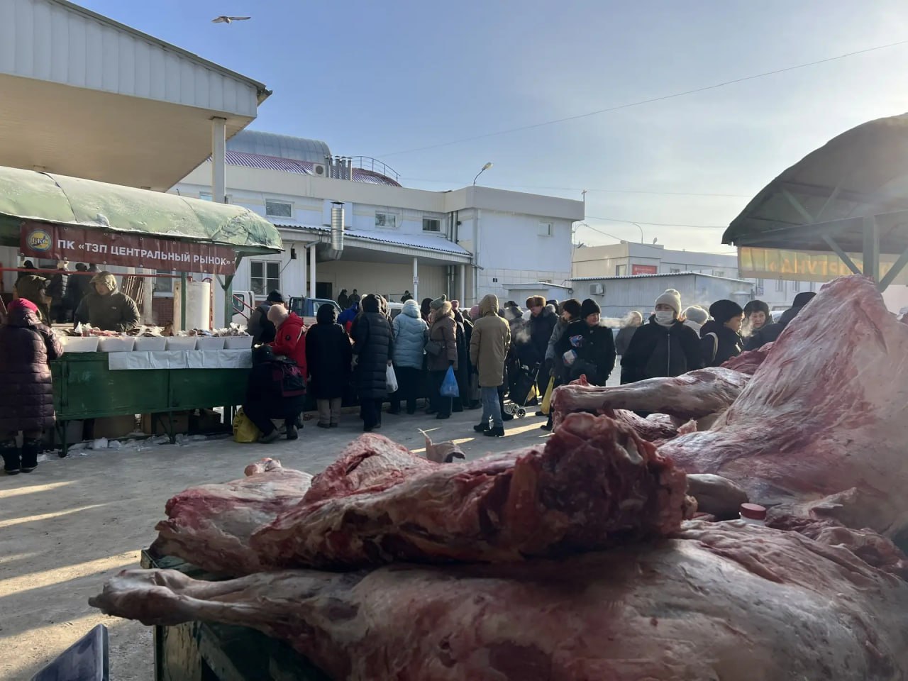 В Улан-Удэ стартовала большая мясная ярмарка! В Улан-Удэ стартовала большая мясная ярмарка!