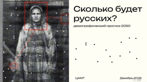 Пугающий демографический прогноз от ЦАМТ: Что ждет Россию к 2050 году?