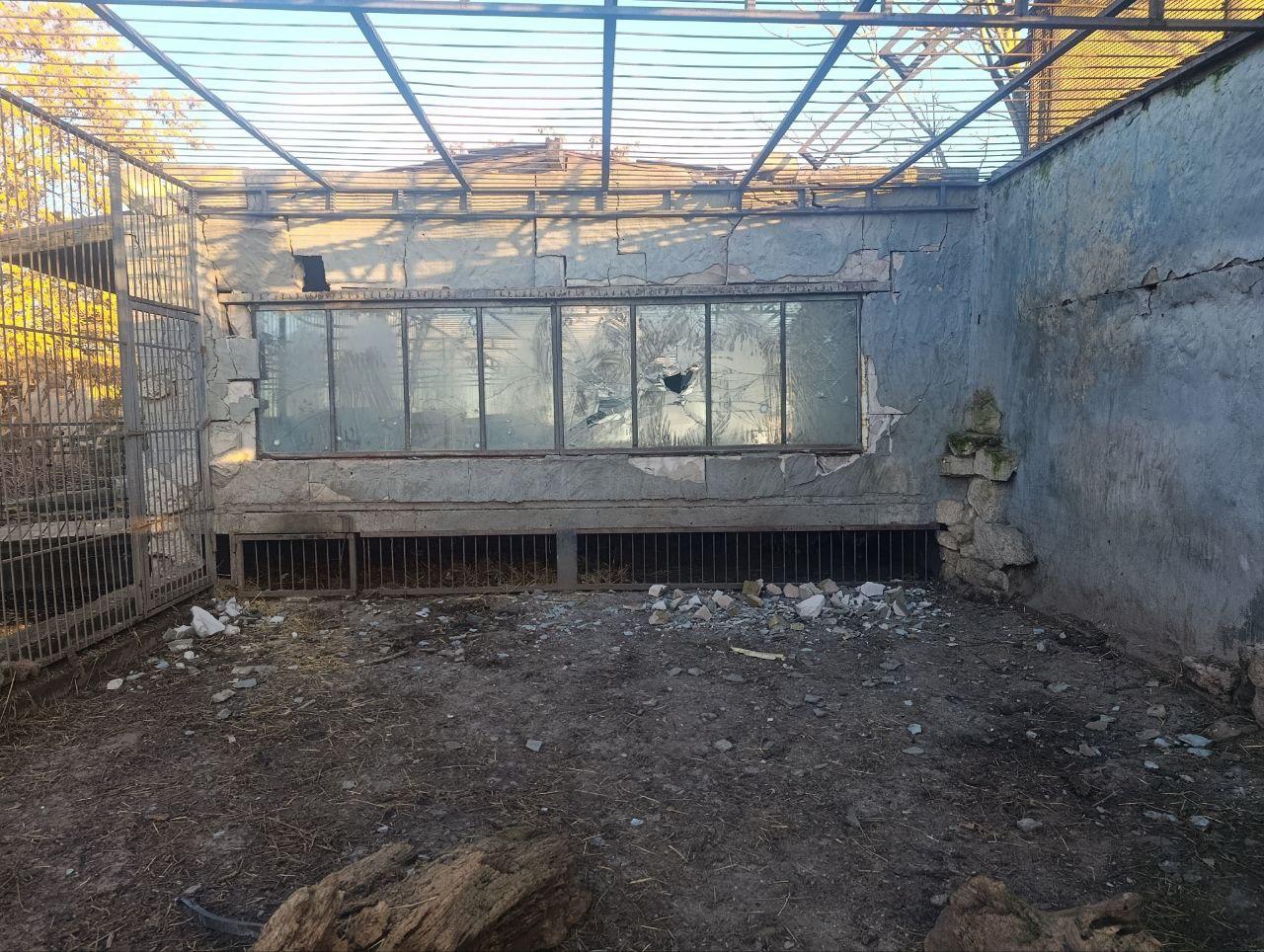 Лев пострадал в результате атаки двух украинских беспилотников на Васильевский зоопарк Лев пострадал в результате атаки двух украинских беспилотников на Васильевский зоопарк