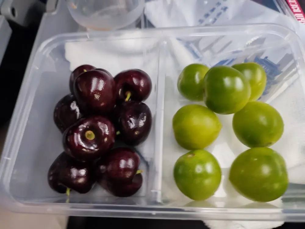 Николай Стариков: Китайские «Сапсаны» — личный опыт Николай Стариков: Китайские «Сапсаны» — личный опыт