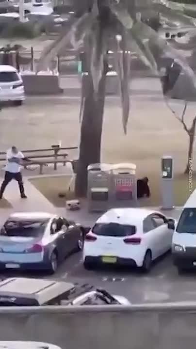 "Ему честь и хвала": пользователи сети публикуют кадры с прохожим, который обезоружил стрелявшего по людям в Сиднее