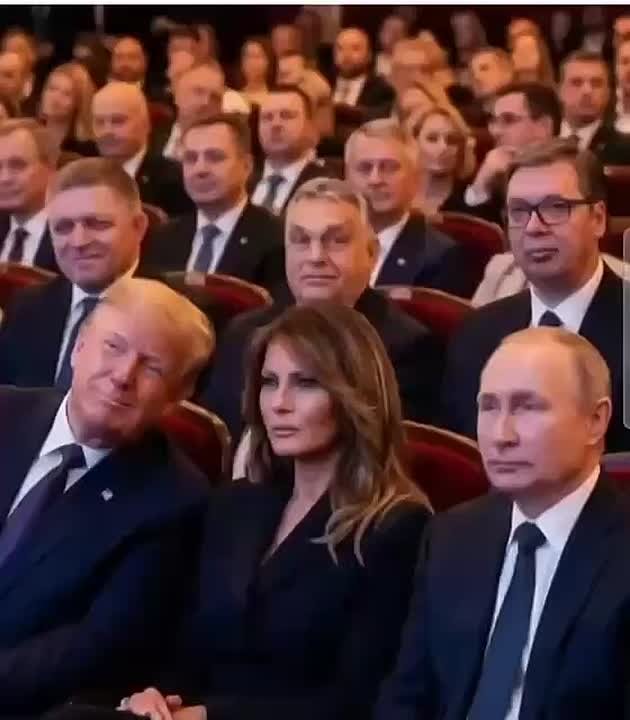 Режим Зеленского сыпется. На переговорах американцы давят, итальянцы отказываются поддерживать ВСУ, словаки обзывают «чёрной дырой», соратники «сдают» — разоблачают в коррупции