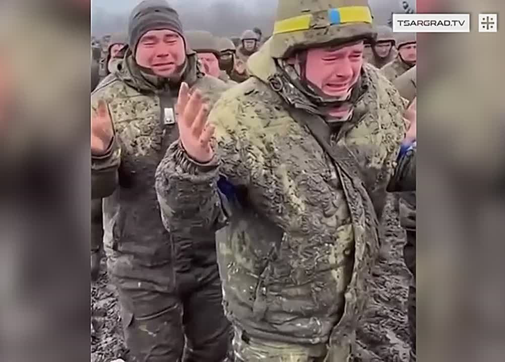 Кушайте, не обляпайтесь. Царьград.ТВ — Не боимся говорить правду | Подпишись