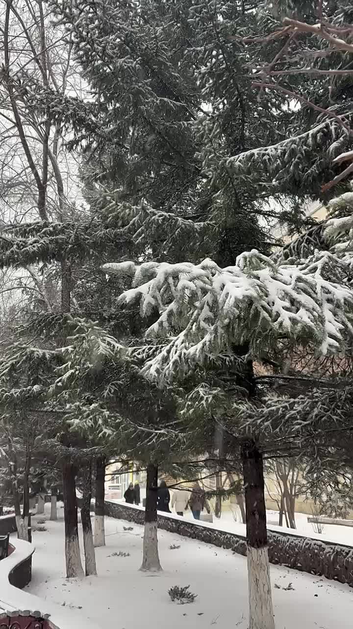 Штормовое предупреждение! В Улан-Удэ ожидается снегопад и ветер