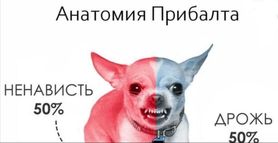 Глава МИД Эстонии Маргус Цахкна решил попугать нас 20-м пакетом в пакете