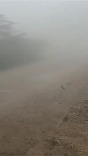 Токсичный смог накрыл Нью-Дели в Индии