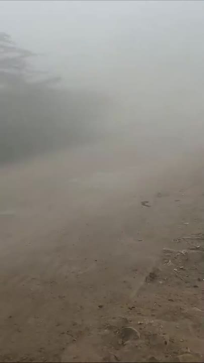 Токсичный смог накрыл Нью-Дели в Индии