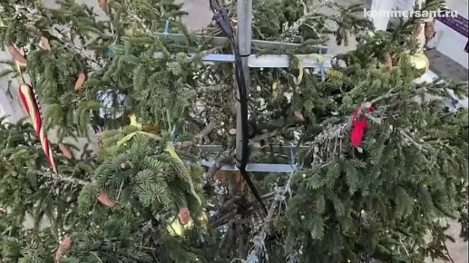 ������� ���������� ���� ������ �������� � ������