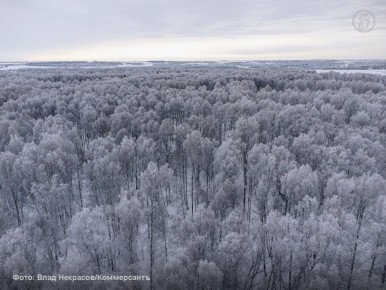 Законопроект, разрешающий изменять границы особо охраняемых природных территорий (ООПТ), рекомендован профильным комитетом Госдумы к принятию