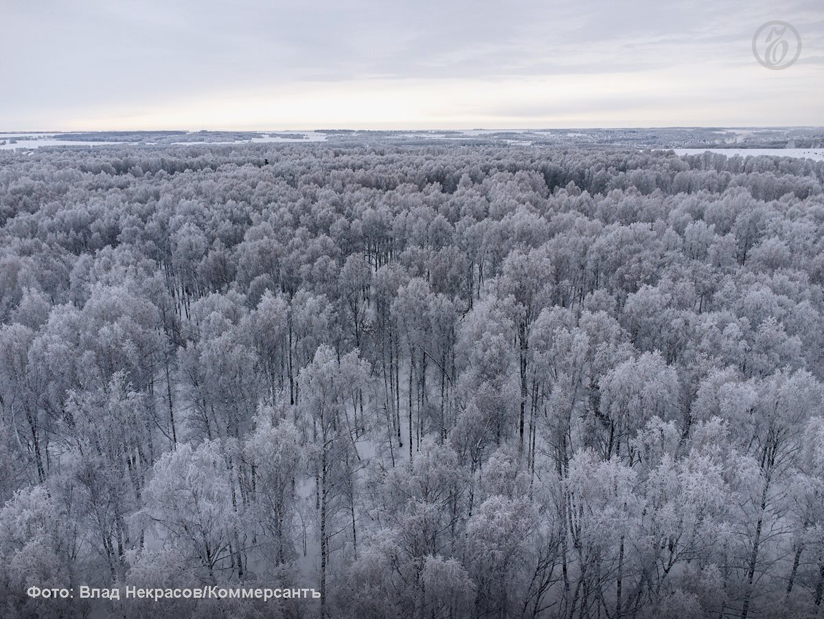 Законопроект, разрешающий изменять границы особо охраняемых природных территорий (ООПТ), рекомендован профильным комитетом Госдумы к принятию