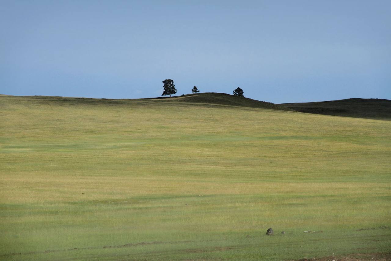 Бурятия из окна автомобиля Бурятия из окна автомобиля