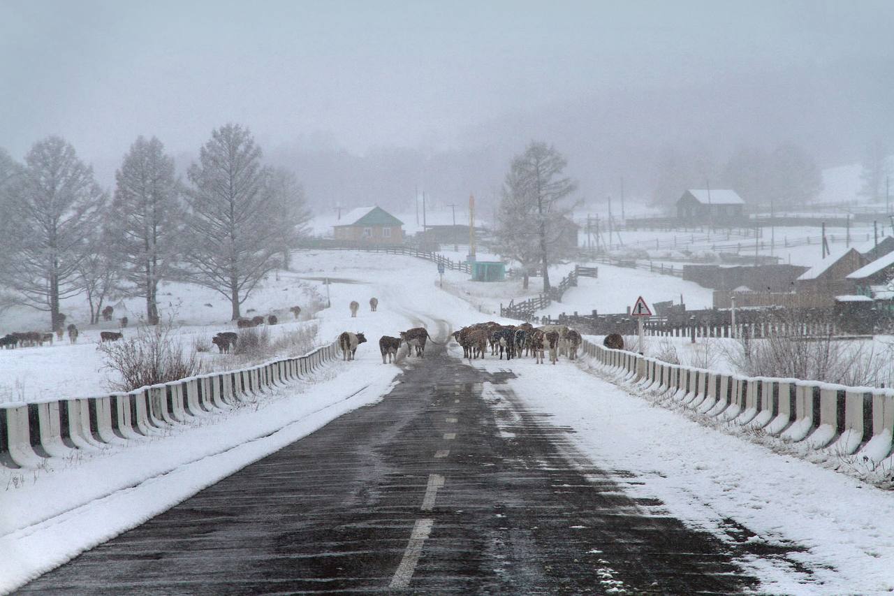 Бурятия из окна автомобиля Бурятия из окна автомобиля