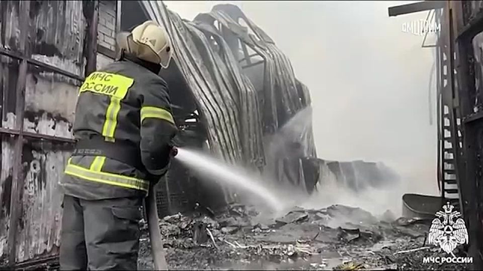 ����� ������� ������� ����� �� ������� 5000 ��. ������ � ������ � �������� �������