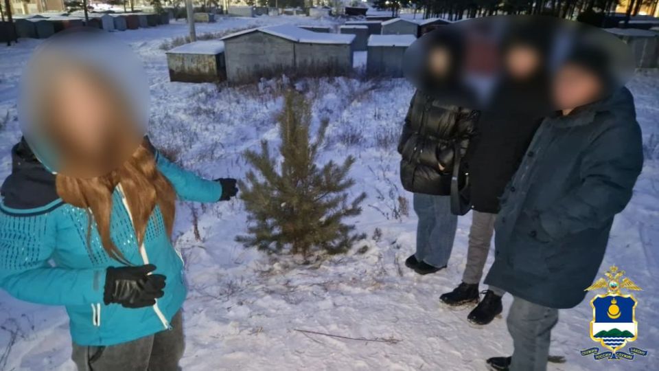 ���������-���������� �� ���������� ������� ��������� � ����-���