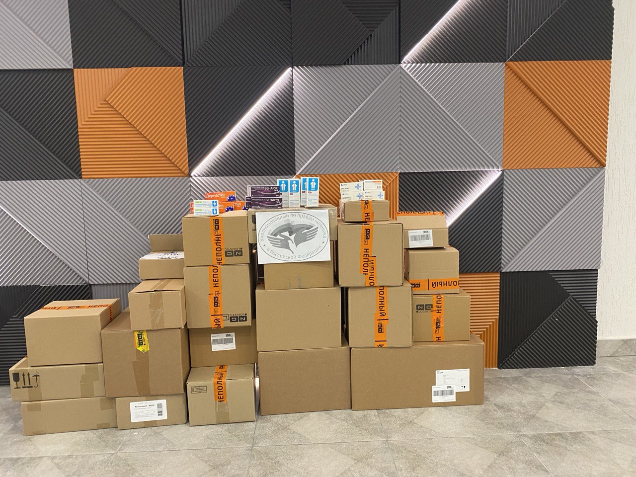 Татьяна Москалькова: Предновогодняя суета – не повод останавливать доставку гуманитарной помощи в приграничные регионы Татьяна Москалькова: Предновогодняя суета – не повод останавливать доставку гуманитарной помощи в приграничные регионы