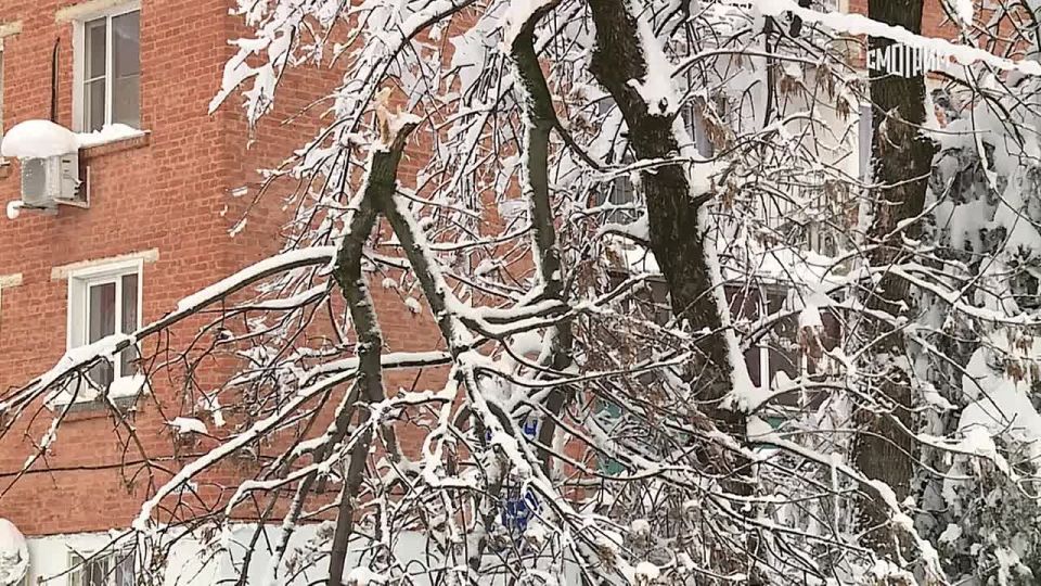 �� ��������� ����� � ������ ������ ����� �������� �������� ����� �������