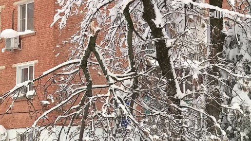 �� ��������� ����� � ������ ������ ����� �������� �������� ����� �������