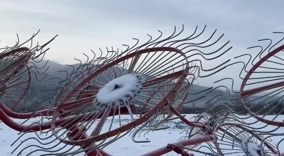 Ветеран СВО возрождает ферму на родной земле