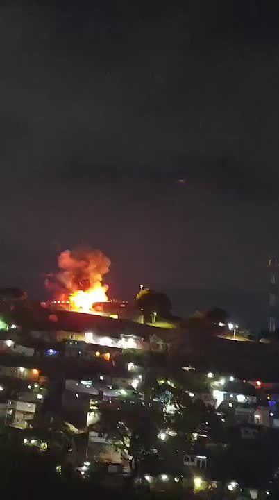 ����� ��� ����������, ��� ��� ������� ����� �� ���������, ���������� ��������� Fox