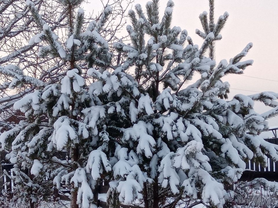 ����, ����� � ������ ��������� � �������