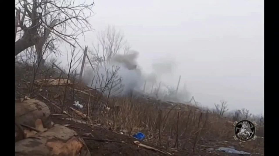 2 ������ �� ����� �����������