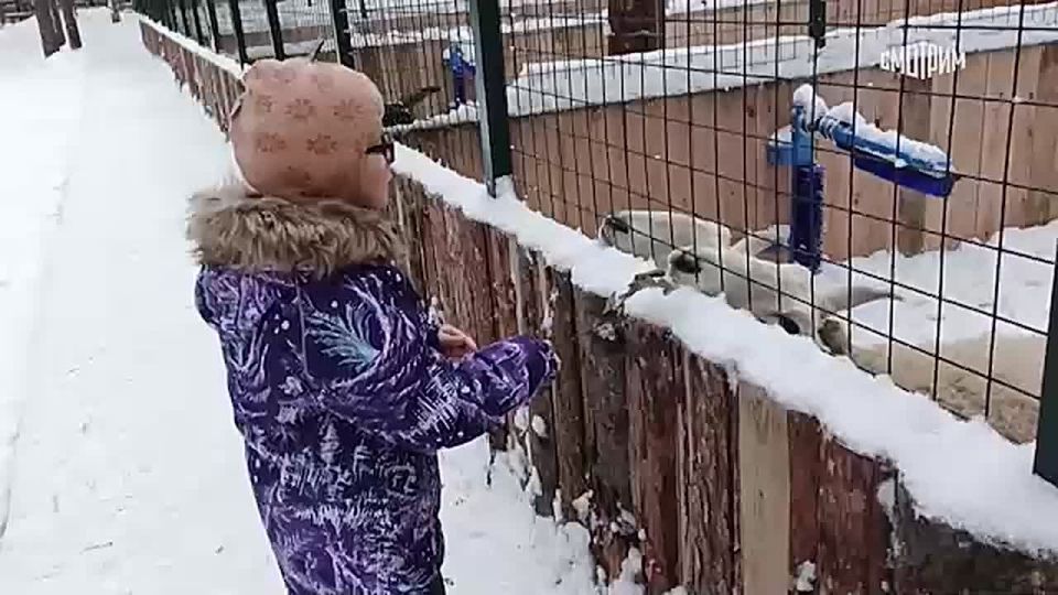 ������� � ���� ������, ��������� �������� ����� �� �� � ����� "����������������", ��������� �� �������� "������": �������� ����������� ����� ����� � ������ ����� "���� �������"