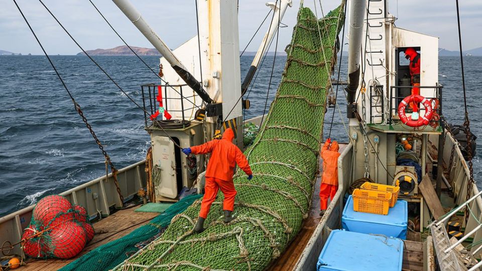 �������� ��� ���� ��������� ��� ������ �� ������ ������