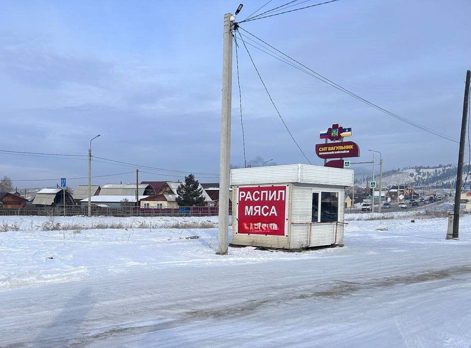 Свора собак, обитающая возле киоска по распилу мяса, напала на жительницу Бурятии