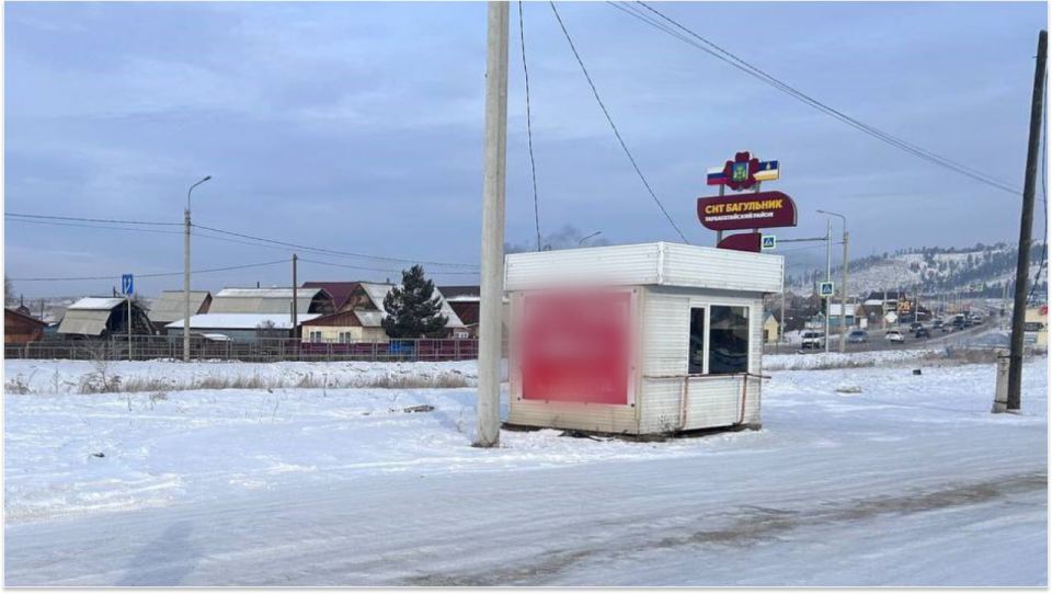 Уголовное дело возбудили в Бурятии по нападению бездомных собак на девушку