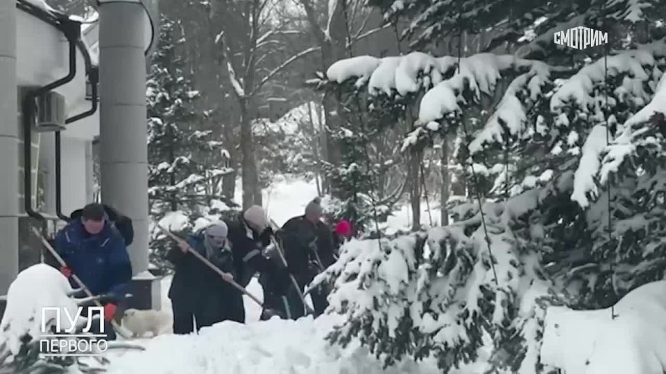 ������� ������ �������� � �� ������